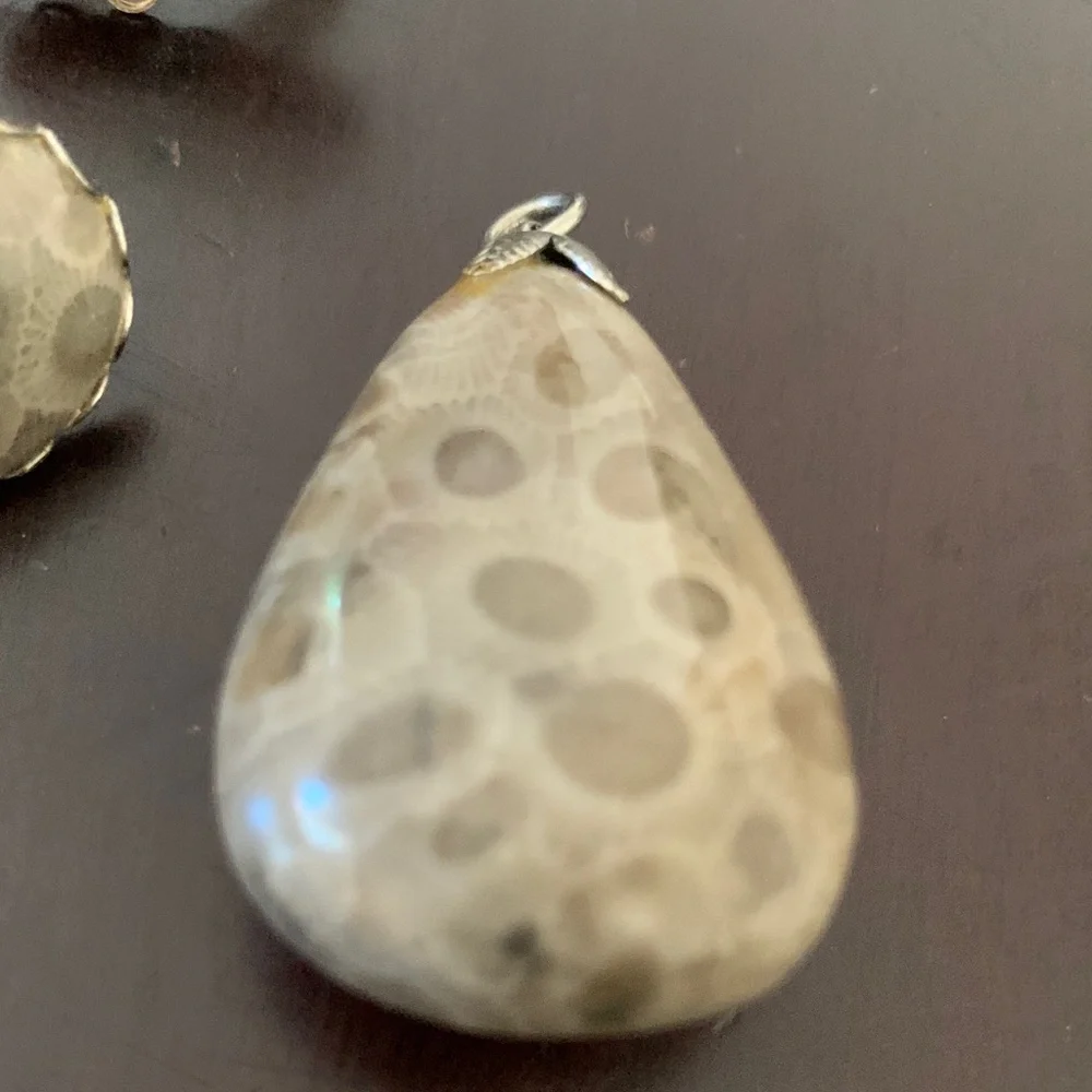 Beige Petoskey Stone Pendant and Earring Set - Natural Beige Jewelry